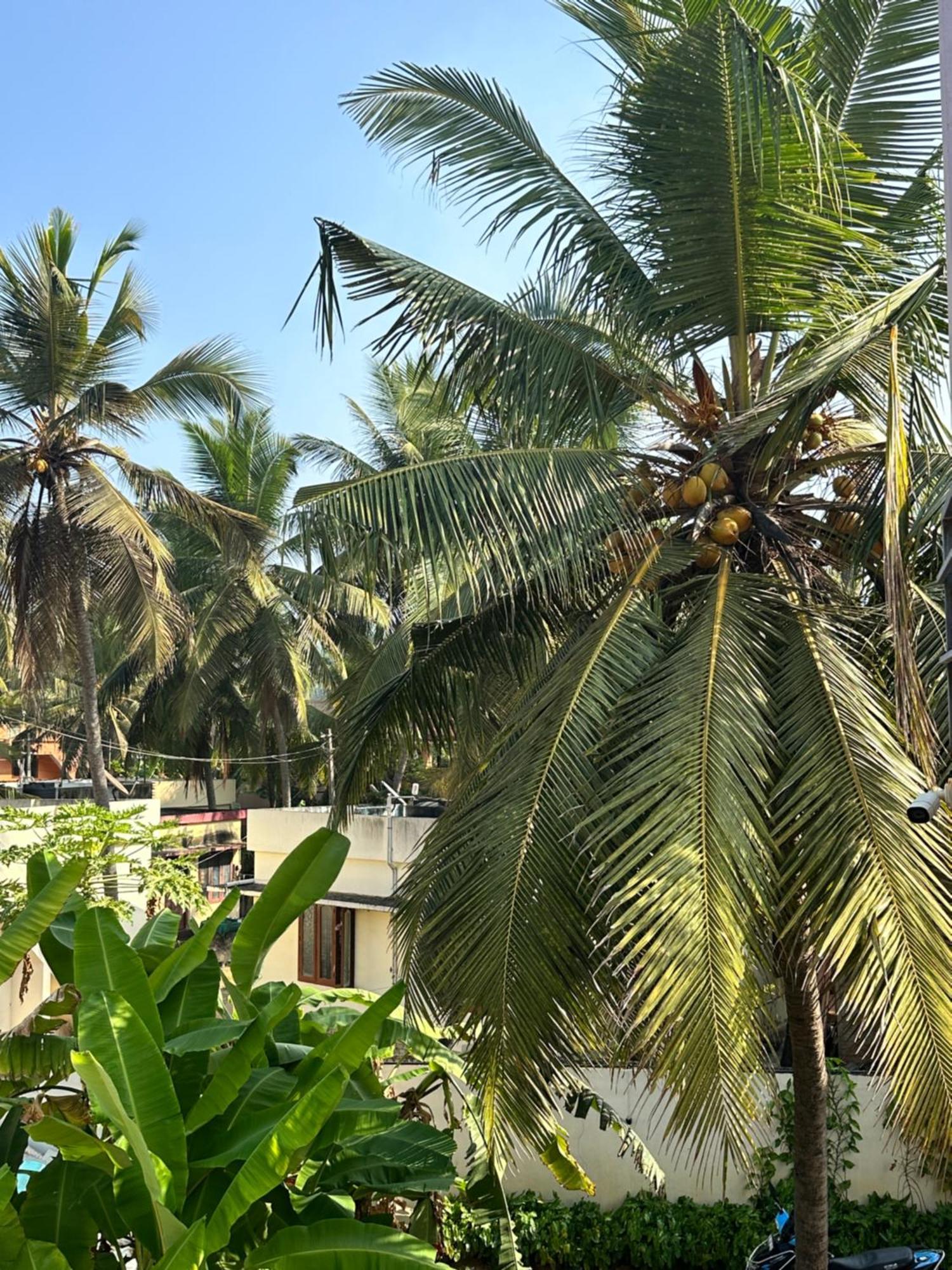 Santa Maria, Trivandrum - An Airport Boutique By The Sea Bed & Breakfast Thiruvananthapuram Exterior photo